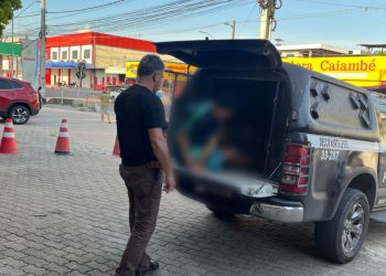 Ação policial. (Foto: Divulgação/PC-AM)