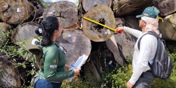 FOTOS: Arquivo/Ipaam