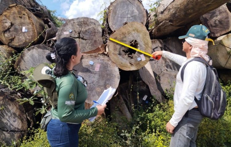 FOTOS: Arquivo/Ipaam