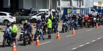 Fotos – Divulgação/IMMU