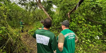 Fotos - Lincoln Fontenelle/Semmas