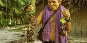 Crédito: André Antunes/ Rede Fauna