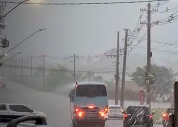 Foto: Reprodução | Whatsapp