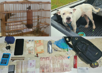 FOTO: Divulgação/PC-AM.