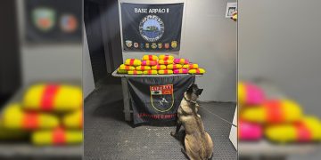 Foto: Divulgação/SSP-AM