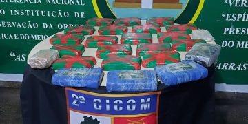 Foto: Divulgação/ PMAM