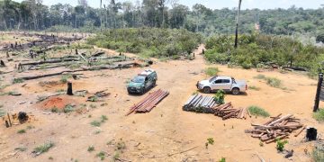 FOTOS: Arquivo/Ipaam