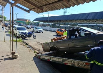 Fotos – Divulgação/IMMU