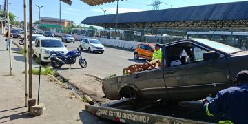 Fotos – Divulgação/IMMU