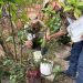 Fotos - Divulgação/Semsa