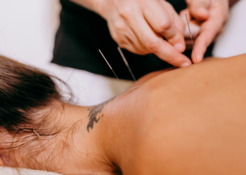 Foto: Reprodução | Canva