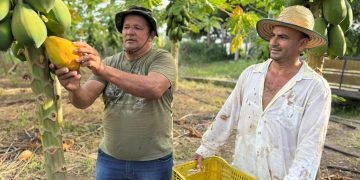 Fotos – Gildo Smith/Semacc