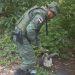 Foto: Divulgação/ PMAM