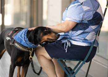 Foto: Imagem ilustrativa/Canva