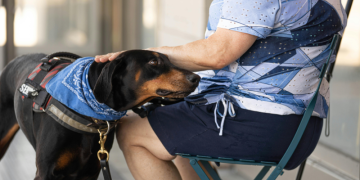 Foto: Imagem ilustrativa/Canva