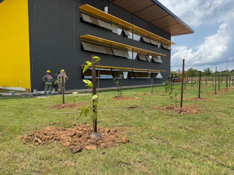 Fotos – Maxwell Oliveira/ Implurb e Divulgação