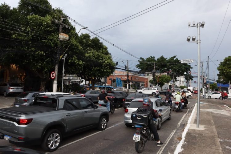 fotos – Divulgação/IMMU