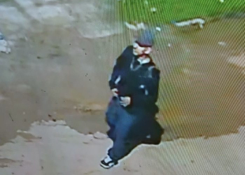 FOTOS: Divulgação/PC-AM