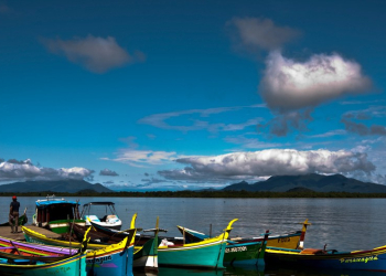 Relatório traz análises sobre a evolução e a cobertura da rede de monitoramento, os poluentes avaliados e a representatividade espacial e temporal das estações - Foto: Fernando Donasci/MMA