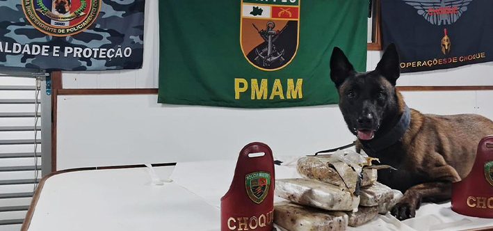 Foto: Divulgação/SSP-AM