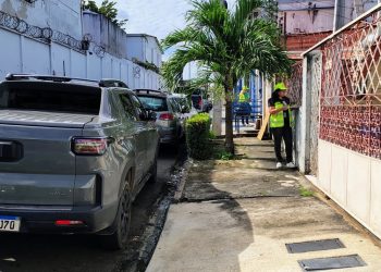 Fotos – Divulgação/IMMU