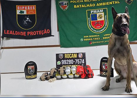 Foto: Divulgação/SSP-AM