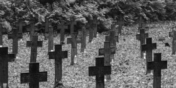 Imagem Ilustrativa. Foto: Reprodução | Canva