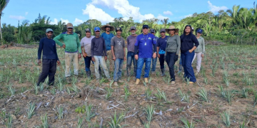 Fotos: Divulgação/Idam