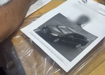 Foto:  Divulgação/MPAM