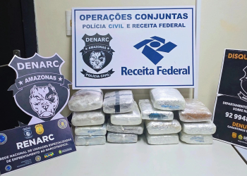 Material apreendido. (Foto: Divulgação/PC-AM)