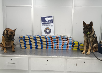 Foto: Assessoria de Comunicação da Receita Federal em Manaus