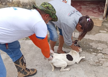 Fotos – Divulgação / Semsa