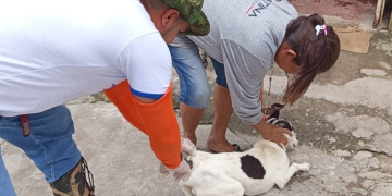 Fotos – Divulgação / Semsa