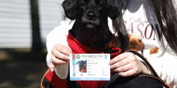 Iniciativas reforçam compromisso do Governo do Brasil com a proteção da fauna e a promoção dos direitos animais - Foto: Alex Cavanha/Prefeitura de Santo André