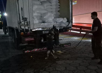 Ação policial. (Foto: Divulgação/PC-AM)