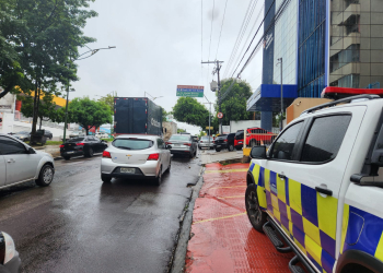 Fotos – Divulgação / IMMU