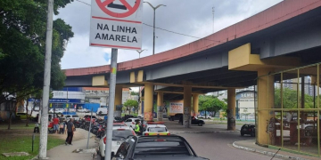 Fotos – Divulgação/IMMU