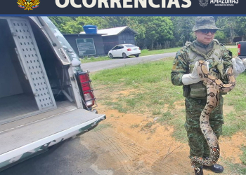 Foto: Divulgação/ PMAM