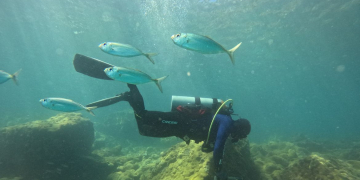 © Fernando Frazão/Agência Brasil