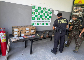 Foto: PF