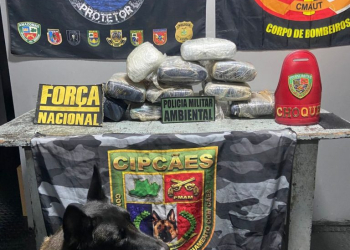 Foto: Divulgação/SSP-AM