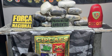 Foto: Divulgação/SSP-AM