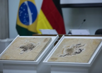 © Joédson Alves/Agência Brasil