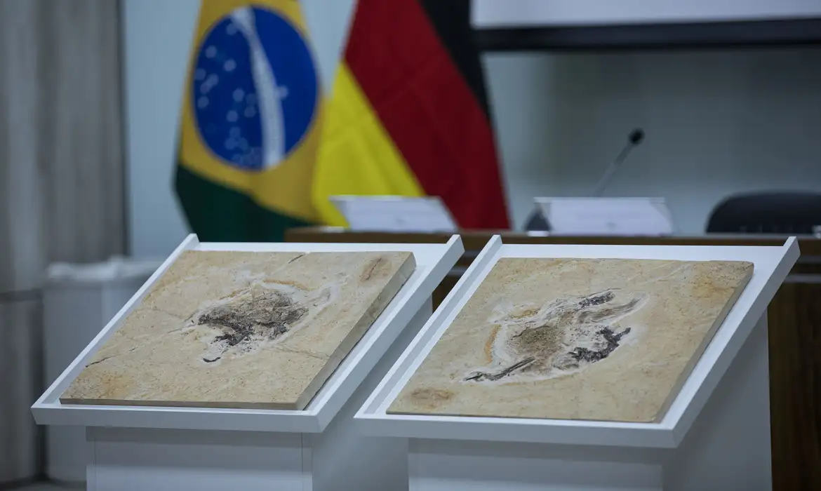 Brasil quer recuperar dinossauros e patrimônios que estão em 14 países Brasil quer recuperar dinossauros e patrimônios que estão em 14 países