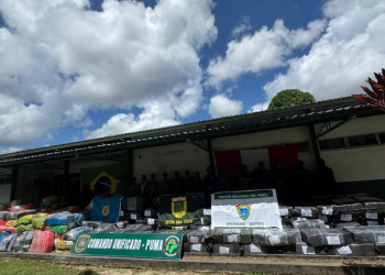 Foto: PF-AM