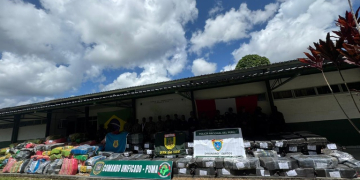 Foto: PF-AM