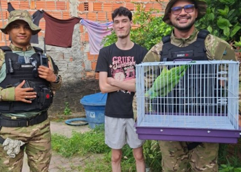 Fotos – Divulgação/Semseg