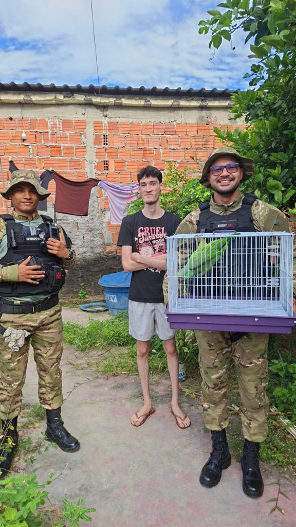 Fotos – Divulgação/Semseg