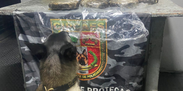 Foto: Divulgação/SSP-AM