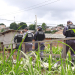Fotos: Divulgação/SSP-AM